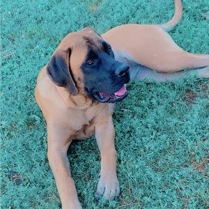 Meet your Posher, Vicky